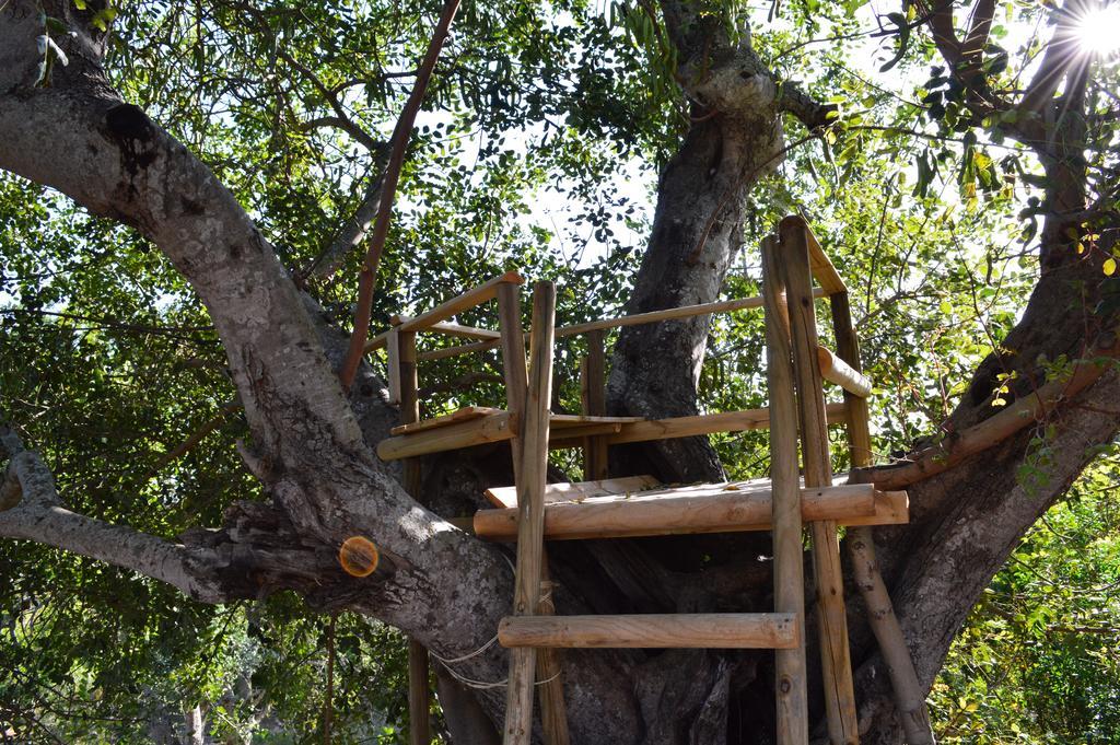 Alojamento de Acomodação e Pequeno-almoço Quinta Da Mesquita
